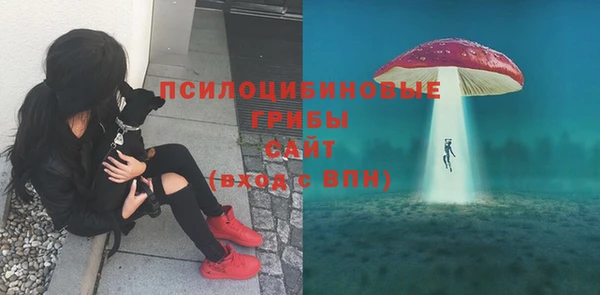 ГАЛЛЮЦИНОГЕННЫЕ ГРИБЫ Нязепетровск