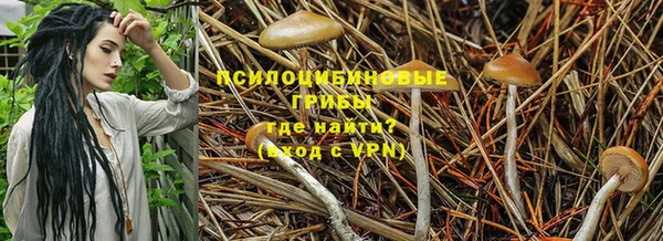 кокаин колумбия Абаза